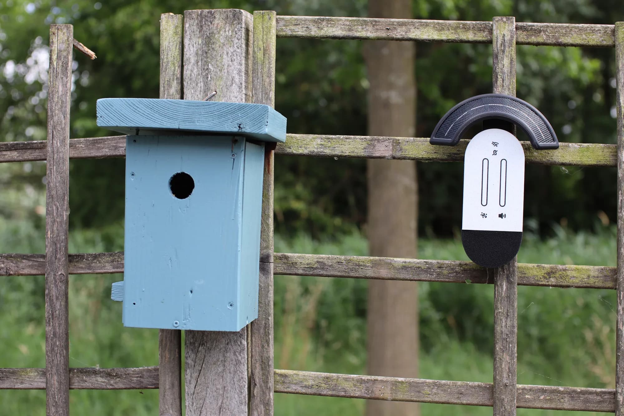 MedeMeter buiten op een houten hek naast een vogelhuisje