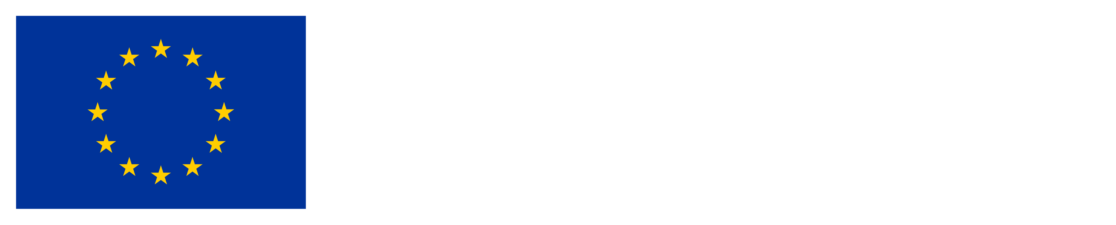 Medegefinancierd door de Europese Unie